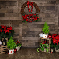 Avezano Christmas Wood Poinsettia Ornament Photography Backdrop