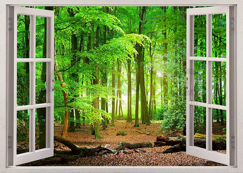 Avezano Spring Window Forest Photography Backdrop Room Set