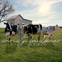 Avezano Cows Farm Photography Backdrop Designed By Christy Faulkner
