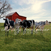 Avezano Cows Farm Photography Backdrop Designed By Christy Faulkner-AVEZANO