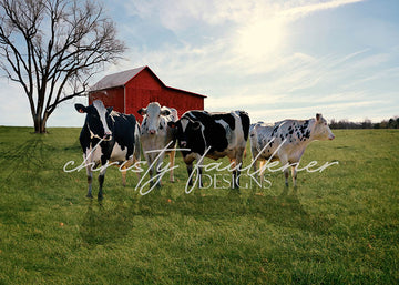 Avezano Cows Farm Photography Backdrop Designed By Christy Faulkner-AVEZANO