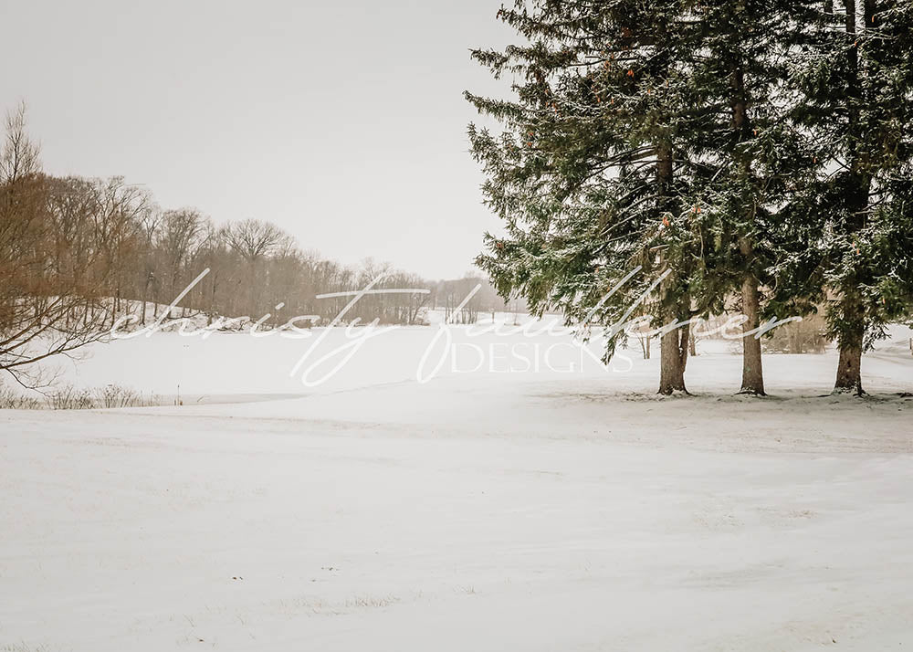 Avezano Snowy Lake Photography Backdrop Designed By Christy Faulkner