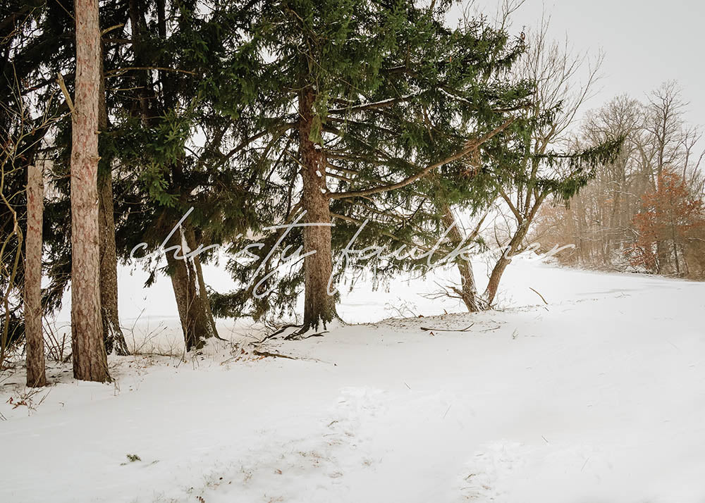 Avezano Winter Lake Photography Backdrop Designed By Christy Faulkner