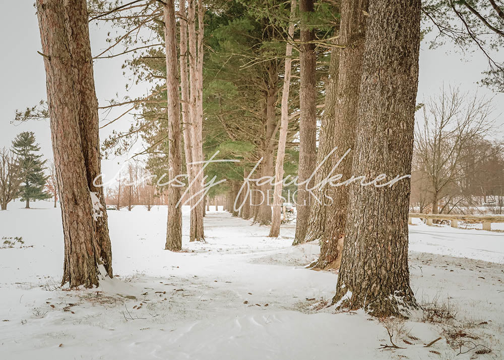 Avezano Winter Trail Photography Backdrop Designed By Christy Faulkner