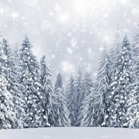 Avezano Winter Snowy Sky Photography Background-AVEZANO