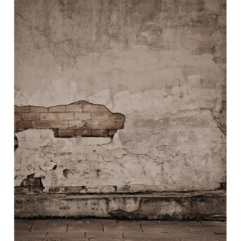 Avezano Do Old Brick Wall Texture Backdrop With One Step For Portrait Photography-AVEZANO