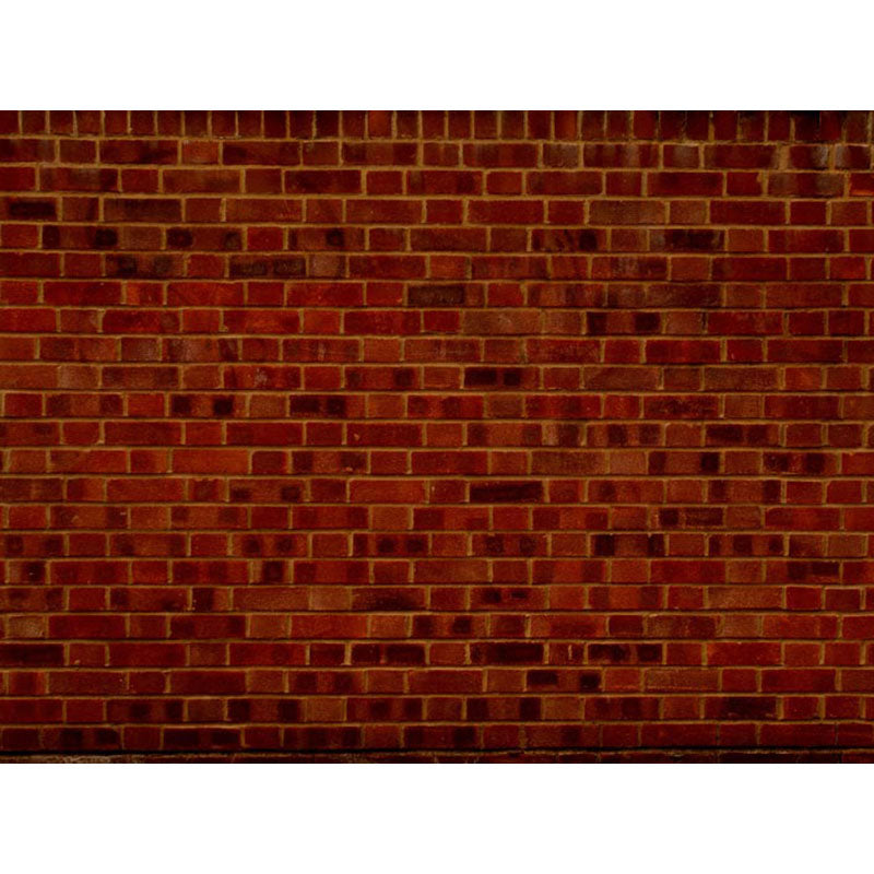 Avezano Senior Red And Black Brick Wall Texture Photography Backdrop-AVEZANO