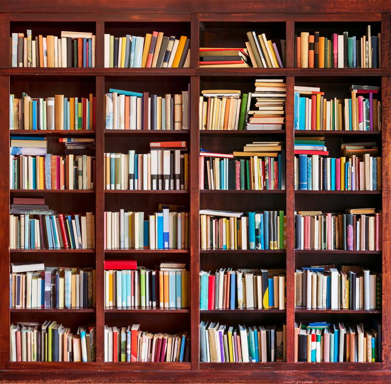 Avezano Bookshelf Library Photography Backdrop For Back To School-AVEZANO