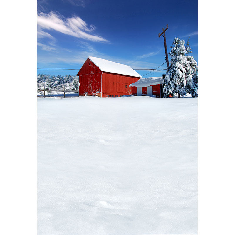 Avezano Snow In Winter And Red House Photography Backdrop-AVEZANO