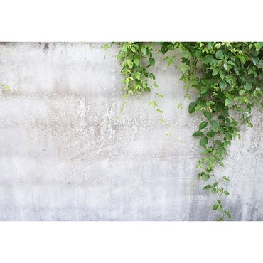 Avezano Old Wall With Green Plants Spring Photography Backdrop