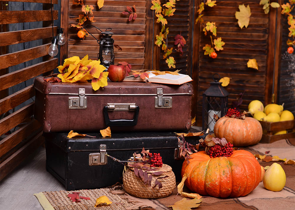 Avezano Suitcase And Pumpkin Autumn Photography Backdrop-AVEZANO