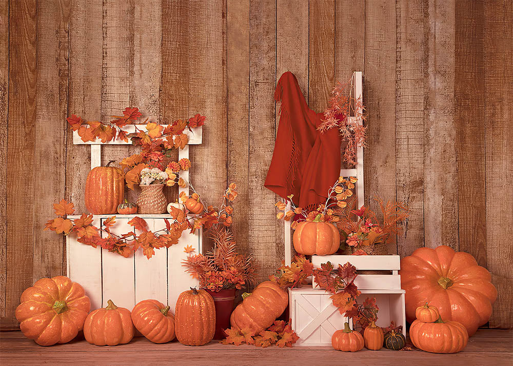 Avezano Pumpkins Autumn Thanksgiving Photography Backdrop-AVEZANO