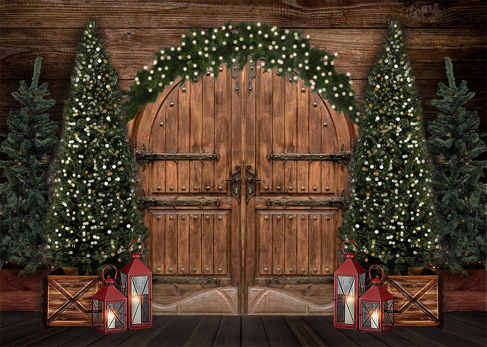 Avezano Christmas Arched Wooden Door Photography Backdrop-AVEZANO