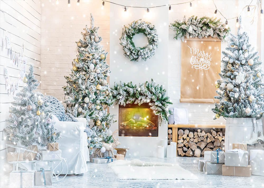 Avezano Indoor Christmas Snow Decoration Photography Backdrop-AVEZANO