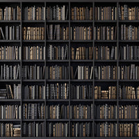Avezano Library Bookshelf Backdrop For Photography-AVEZANO