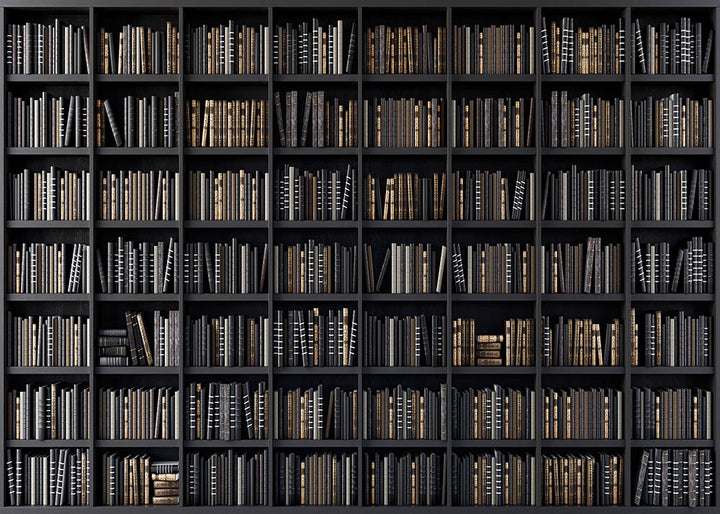 Avezano Library Bookshelf Backdrop For Photography-AVEZANO