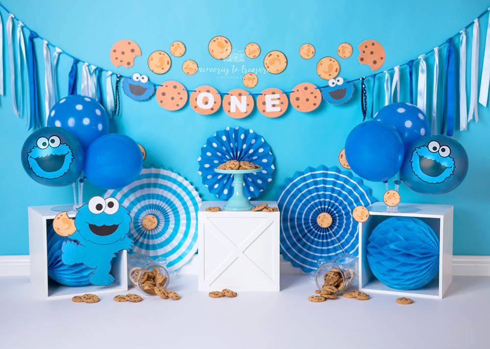 Avezano Cookie Monster Backdrop for Photography By Paula Easton