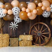 Avezano Straw Wheels and Balloons Photography Background by Stefany Figueroa