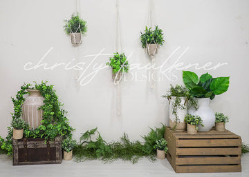 Avezano Indoor Potted Green Plants Backdrop Designed By Christy Faulkner-AVEZANO