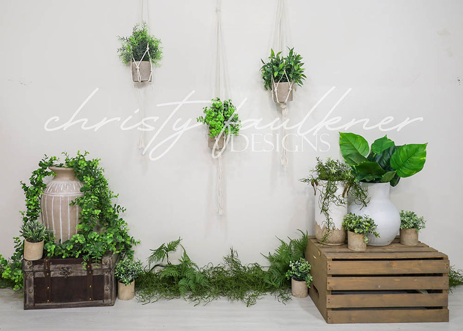 Avezano Indoor Potted Green Plants Backdrop Designed By Christy Faulkner-AVEZANO