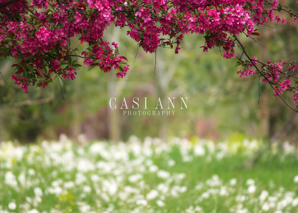Avezano Spring Pink Flowering Tree and Dandelions Photography Backdrop Designed By Casi Ann-AVEZANO