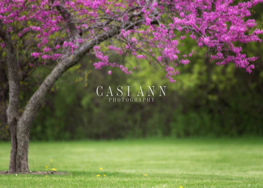 Avezano Spring Purple Flowering Tree Photography Backdrop Designed By Casi Ann-AVEZANO