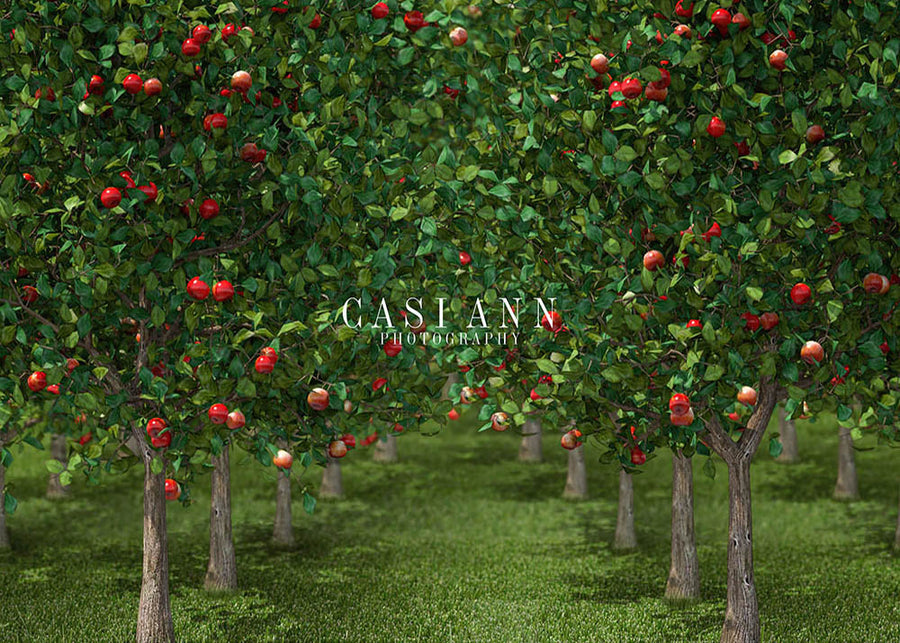 Avezano Apple Orchard Photography Backdrop Designed By Casi Ann-AVEZANO