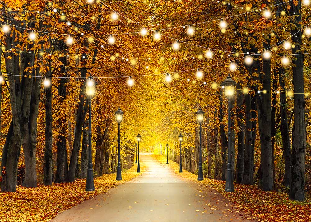 Avezano Autumn Trail of Fallen Leaves with chandelier Photography Backdrop-AVEZANO
