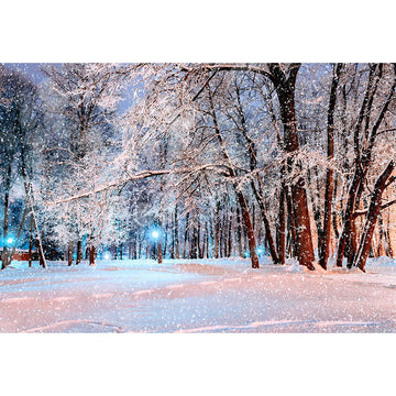 Avezano A Park With Snow At Night In Winter Photography Backdrop-AVEZANO