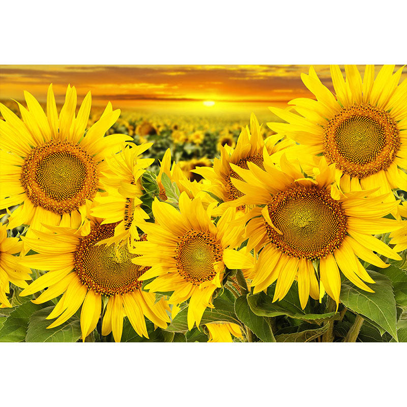 Avezano Spring Sunflowers Photography Backdrop For Children-AVEZANO