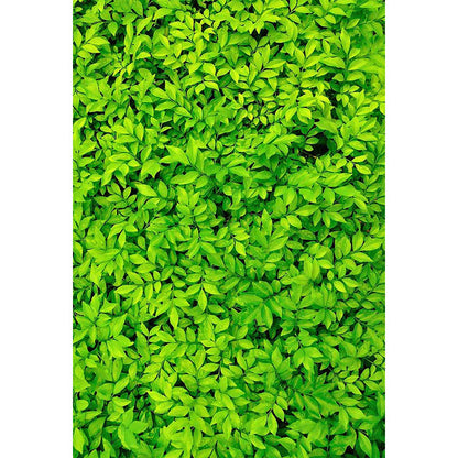 Avezano Green Leaves Floral Backdrop For Photography-AVEZANO