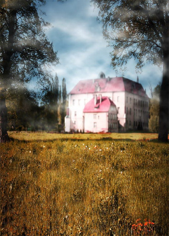 Avezano Pink House Oil Painting Style Photography Backdrop-AVEZANO