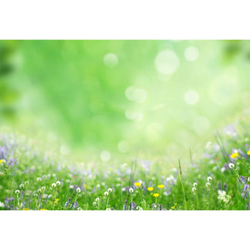 Avezano Green Tone With Grass And Bokeh Backdrop For Photography-AVEZANO