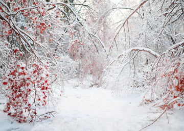 Avezano Plants Covered In Snow Winter Photography Backdrop-AVEZANO