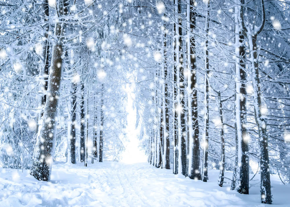 Avezano Snowy Woods In Winter Photography Backdrop-AVEZANO