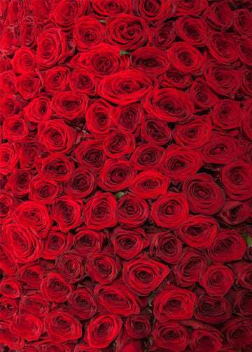 Avezano Red Rose Wall Of Flowers Photography Backdrop-AVEZANO