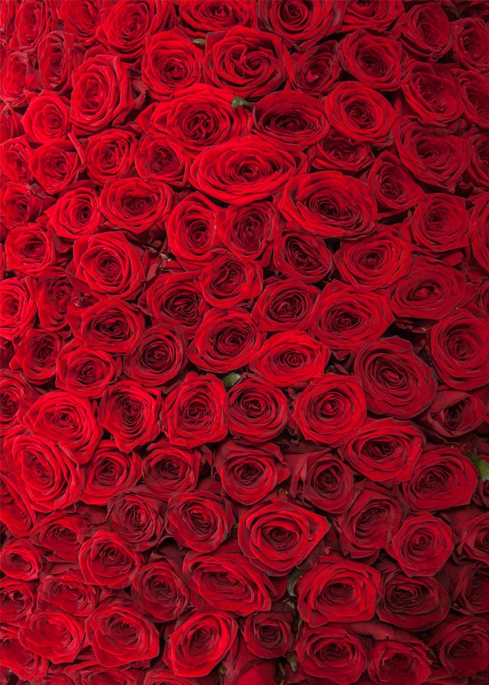 Avezano Red Rose Wall Of Flowers Photography Backdrop-AVEZANO