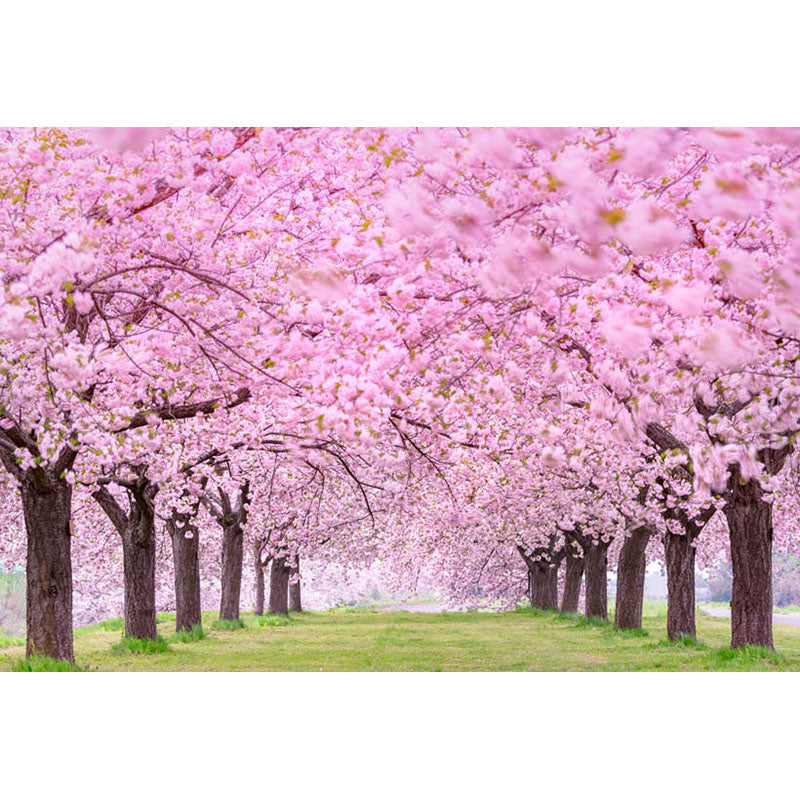 Avezano Spring Backdrop For Photograhy Custom Photo Backdrop