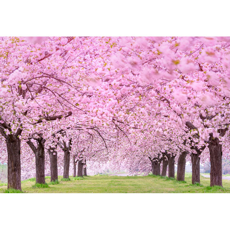 Avezano Spring Cherry Trees With Cherry Blossom Photography Backdrop-AVEZANO