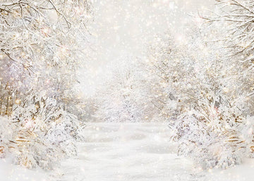 Avezano Winter Snow Scene Warm Light Photography Background-AVEZANO