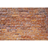 Avezano Brick Wall Texture Backdrop For Portrait Photography