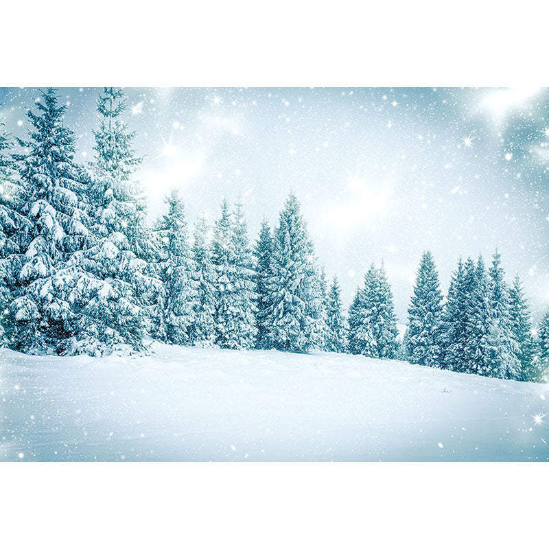 Avezano Snowy Ground And Pine Trees In Winter Photography Backdrop-AVEZANO