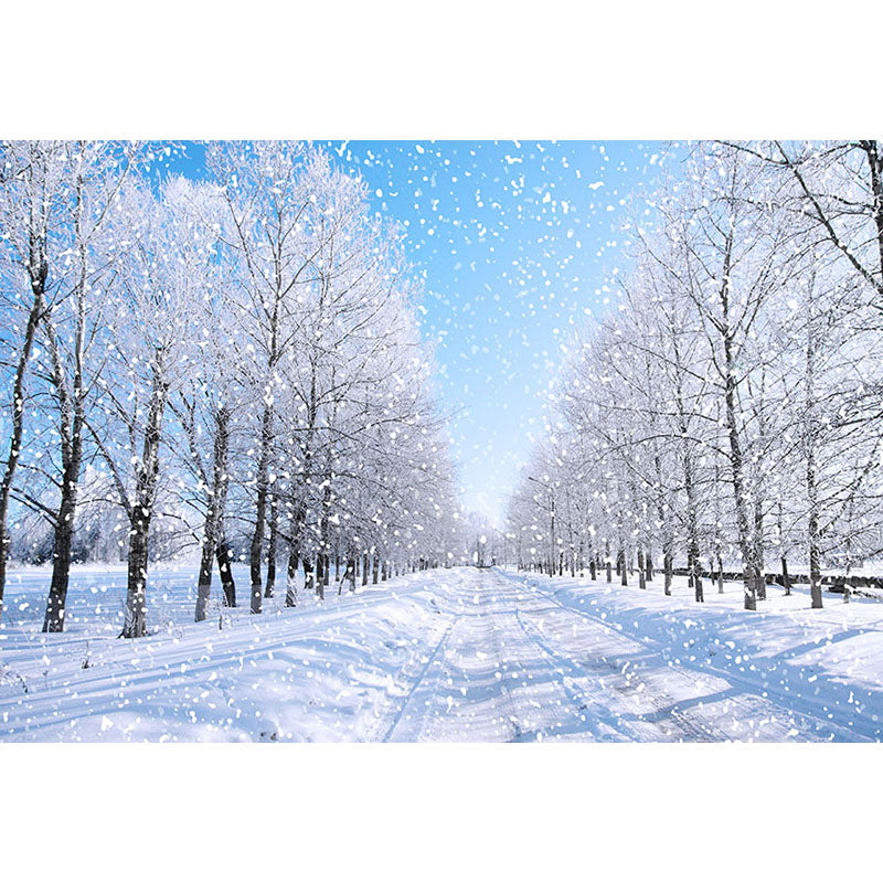 Avezano Snowy Road And Trees In Winter Photography Backdrop-AVEZANO
