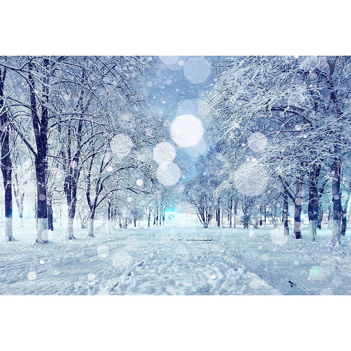Avezano Snowy Road And Trees In Winter With Bokeh Photography Backdrop-AVEZANO