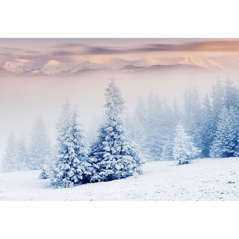 Avezano Snowy Ground And Pine Forest In Winter Photography Backdrop-AVEZANO