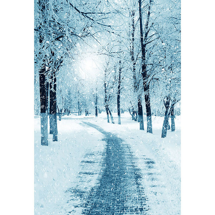 Avezano Snow In The Woods In Winter Photography Backdrop-AVEZANO