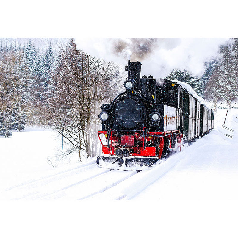 Avezano Snowy Train And Trees In Winter Photography Backdrop-AVEZANO