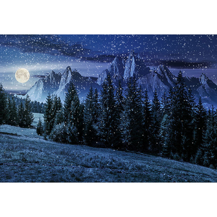 Avezano A Snowy Night In A Forest In Winter Photography Backdrop-AVEZANO
