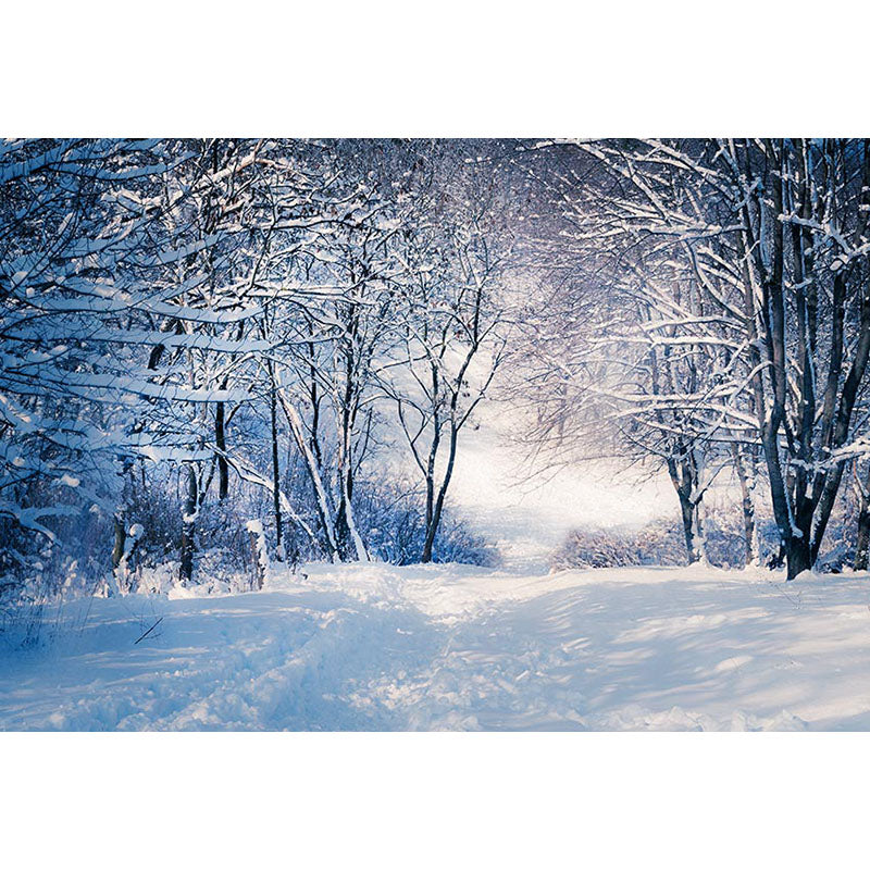 Avezano Snowy Ground And Trees In Winter Photography Backdrop-AVEZANO