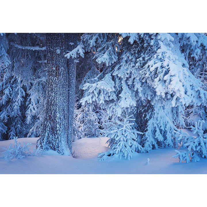Avezano Snowy Plant In Winter Photography Backdrop-AVEZANO